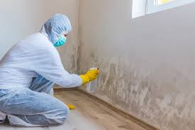 Best Post-Construction Mold Inspection  in Union City, NJ